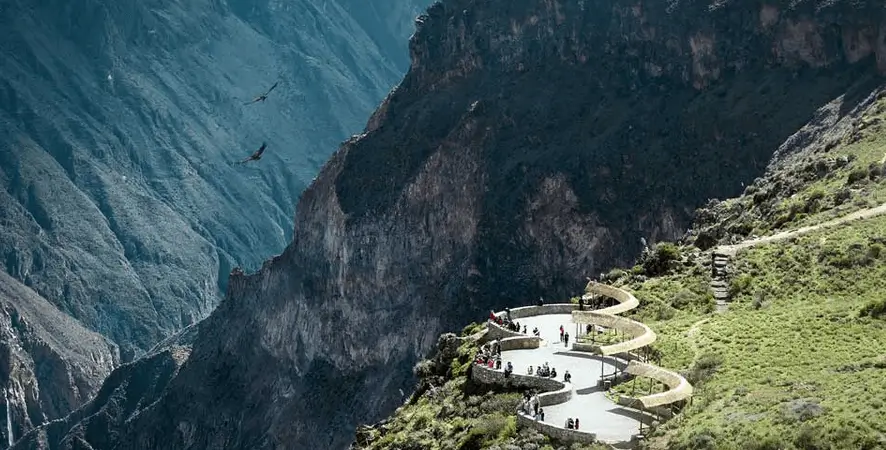 colca cañon fligth condor