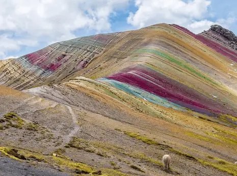 palccoyo mountain tour