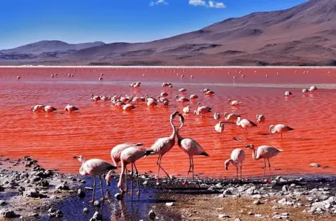 3D2N ATACAMA, UYUNI, ATACAMA PRIVÉ