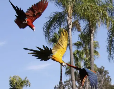 4D3N Manu Amazon Rain Forest Tour da Cusco